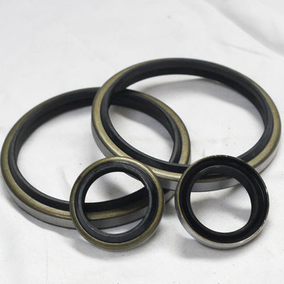 DKB Hydraulic Cylinder Seal 65-79-8/11 Dust-Proof Oil Seal for Agricultural Machinery